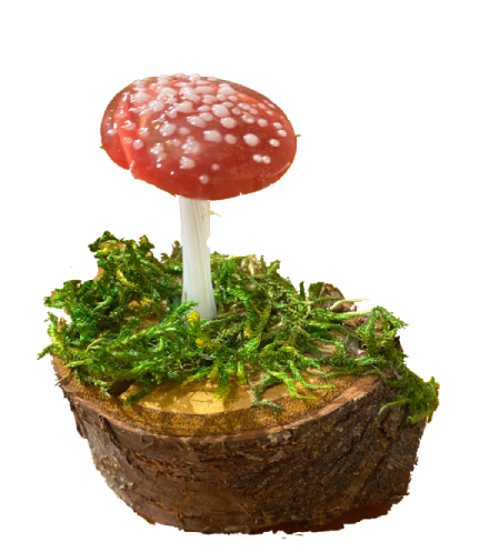 Handblown glass mushrooms have a stem and cap are made with borosilicate glass, on real wooden log with moss.